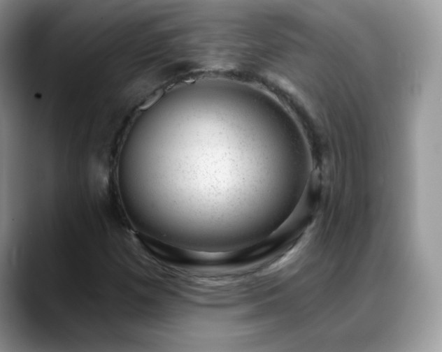 X0000088901257200706081259