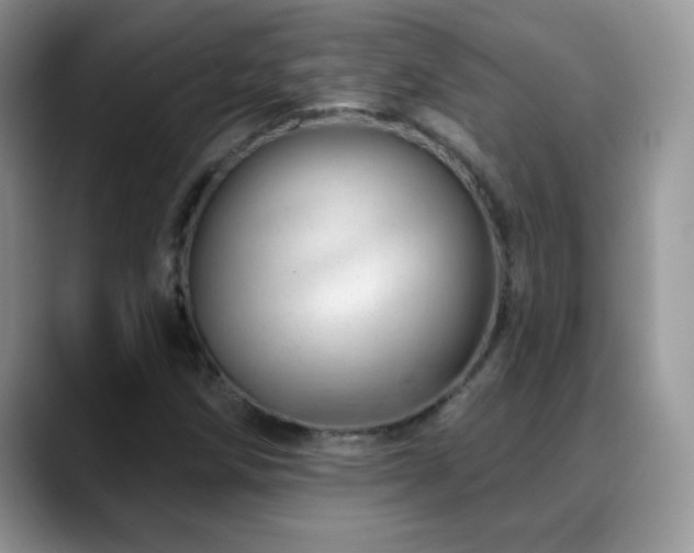X0000088901258200706081259