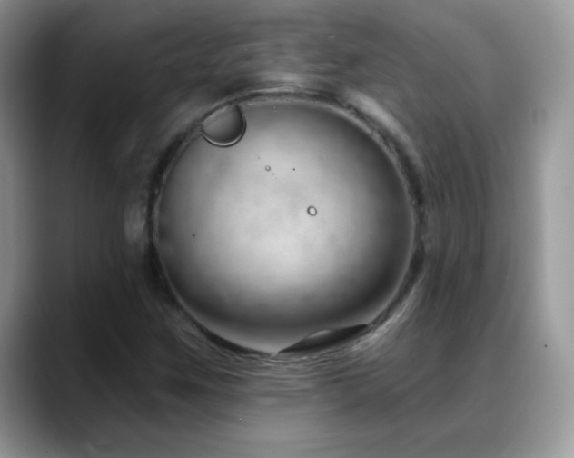 X0000088901259200706081259