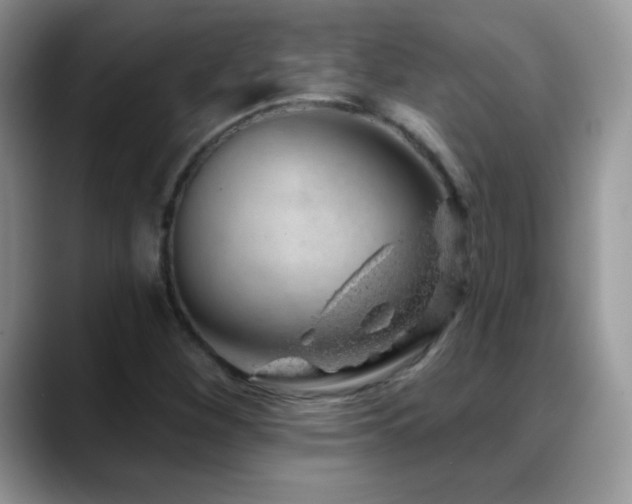 X0000088901260200706081259