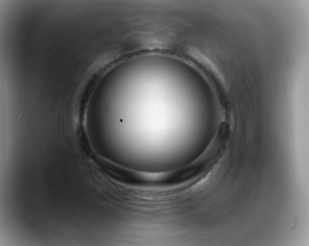 X0000088901261200706081259