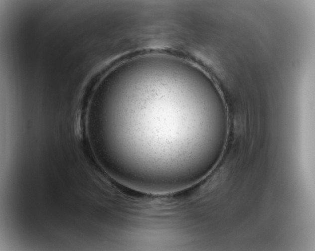 X0000088901262200706081259