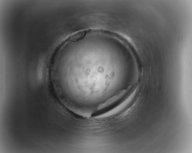 X0000088901263200706081259