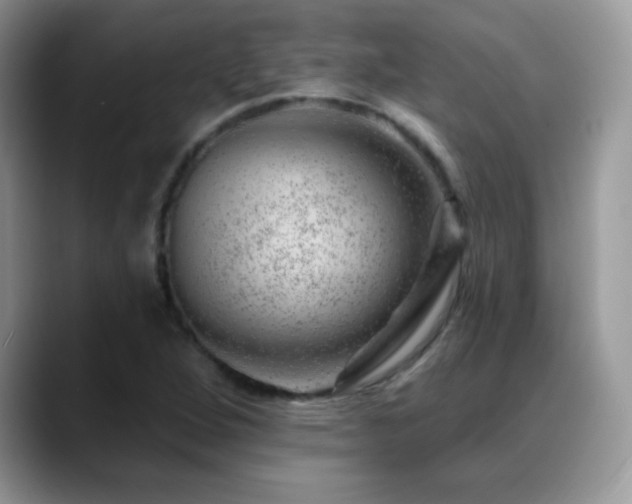 X0000088901264200706081259