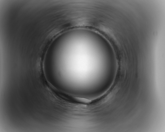 X0000088901265200706081259