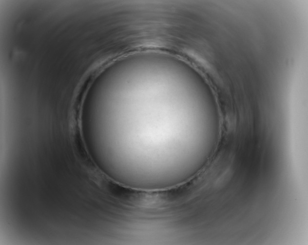 X0000088901266200706081259