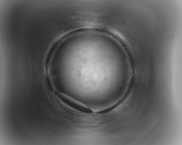 X0000088901267200706081259
