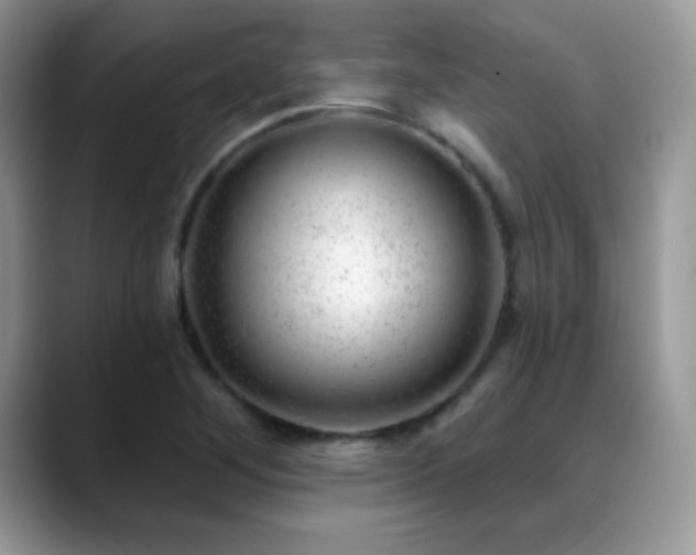 X0000088901268200706081259