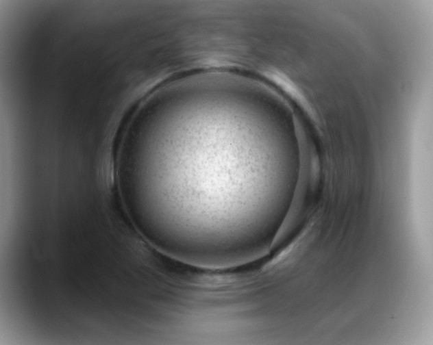 X0000088901269200706081259