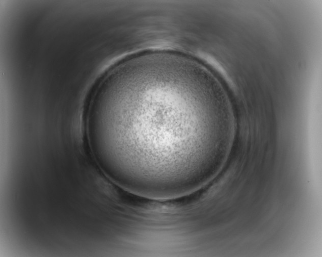 X0000088901270200706081259