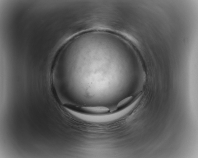 X0000088901271200706081259
