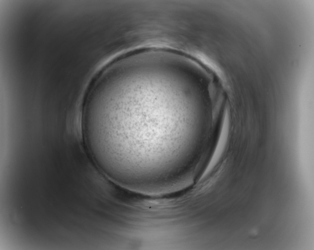 X0000088901272200706081259