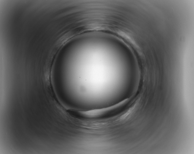 X0000088901273200706081259