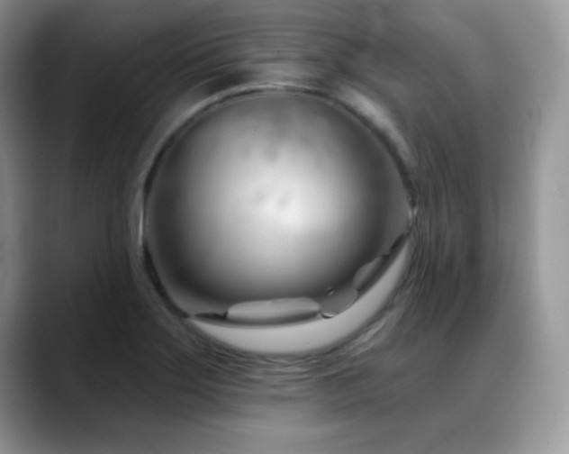 X0000088901275200706081259