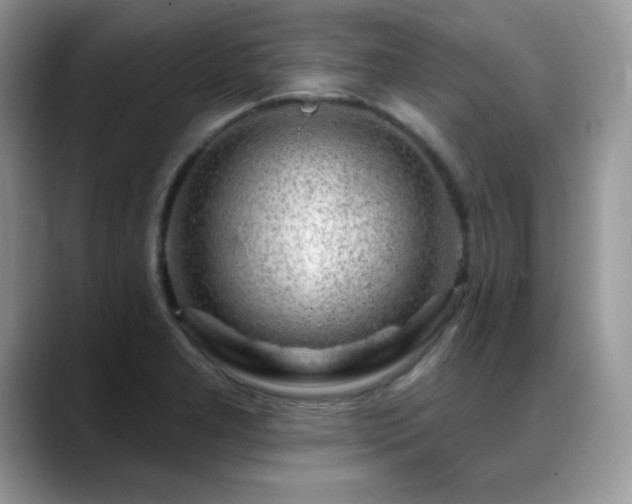 X0000088901277200706081259