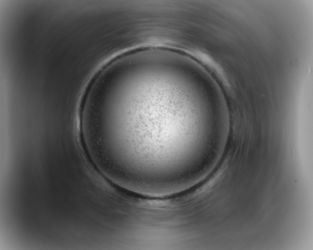 X0000088901280200706081259
