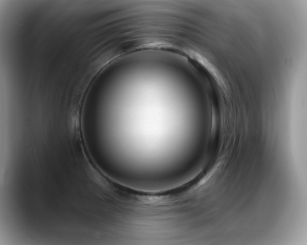 X0000088901281200706081259