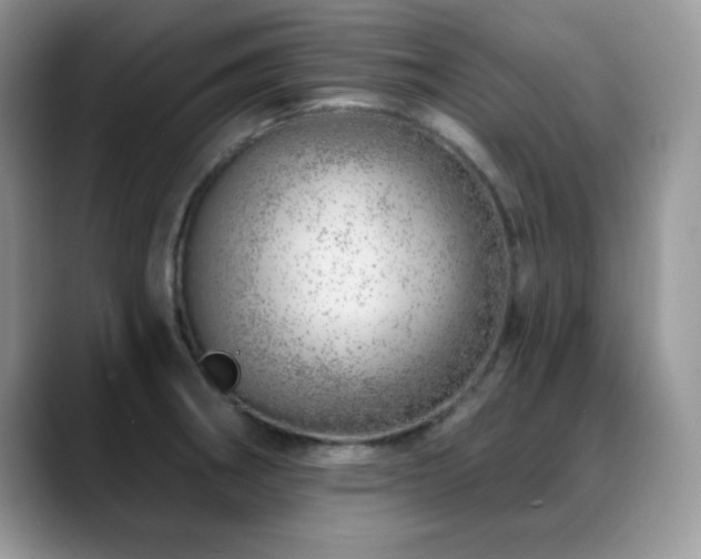 X0000088901282200706081259