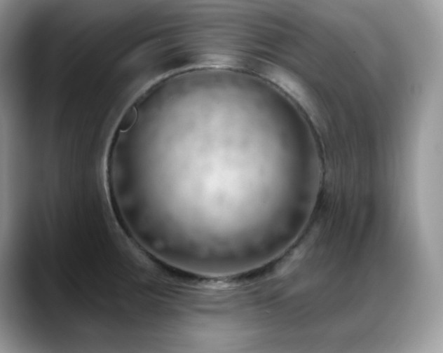X0000088901283200706081259