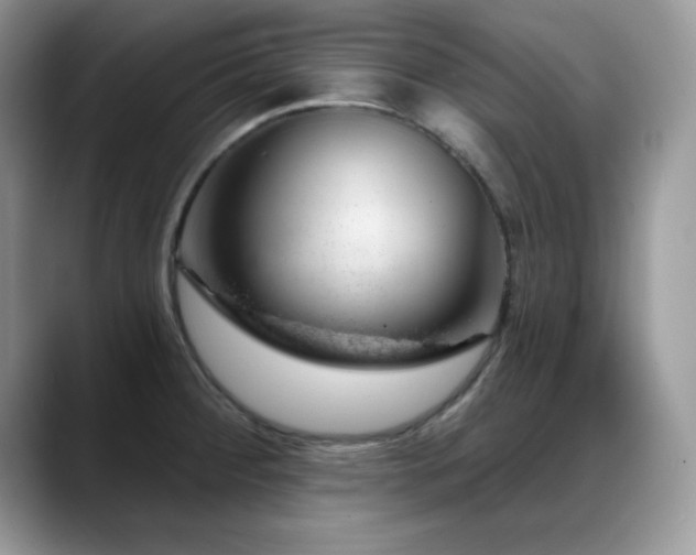 X0000088901284200706081259