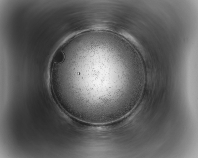 X0000088901286200706081259
