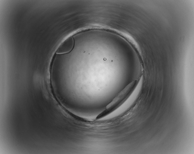 X0000088901287200706081259