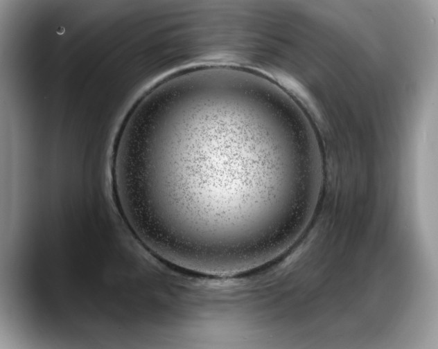 X0000088901288200706081259