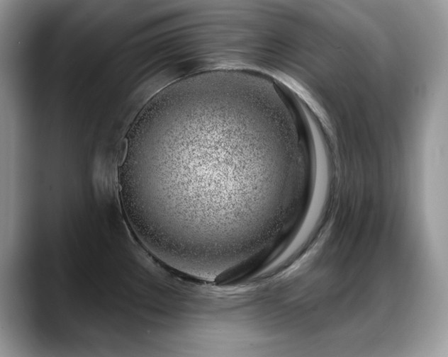 X0000088901289200706081259