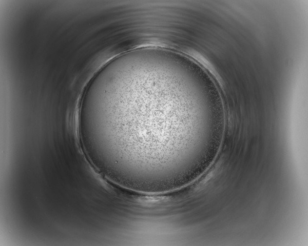 X0000088901290200706081259