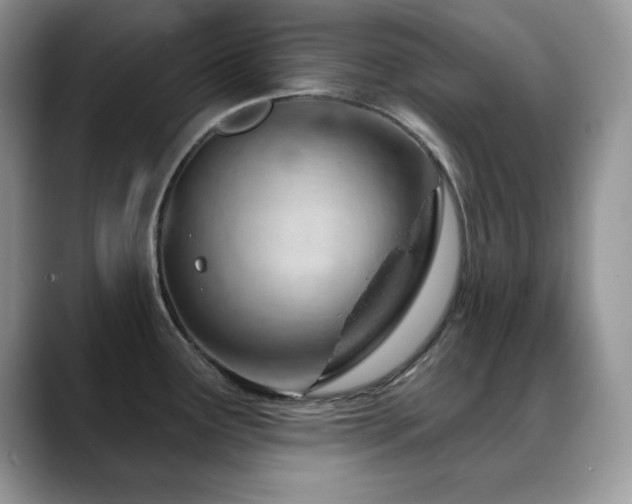 X0000088901291200706081259