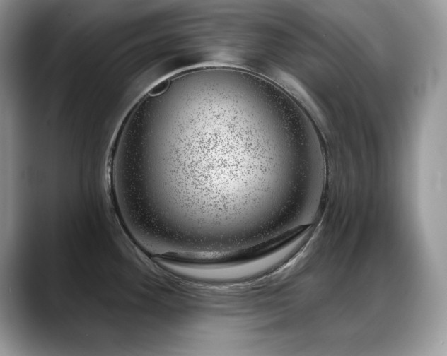 X0000088901292200706081259