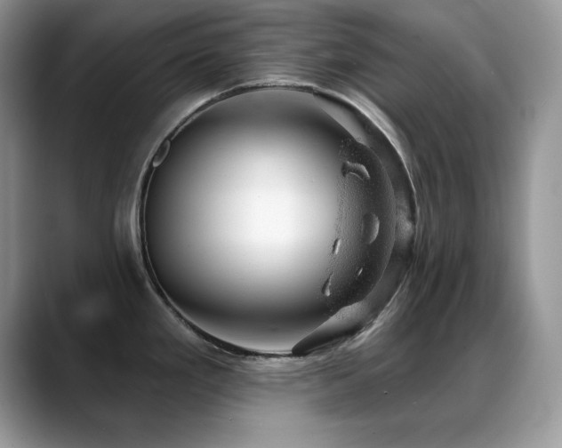 X0000088901293200706081259