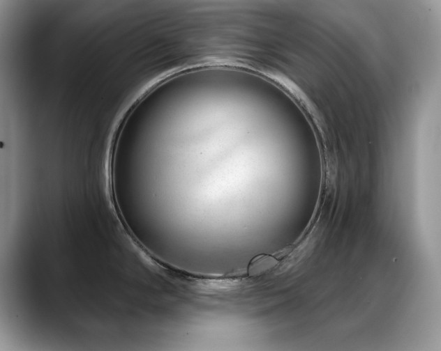X0000088901294200706081259