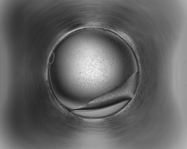 X0000088901296200706081259