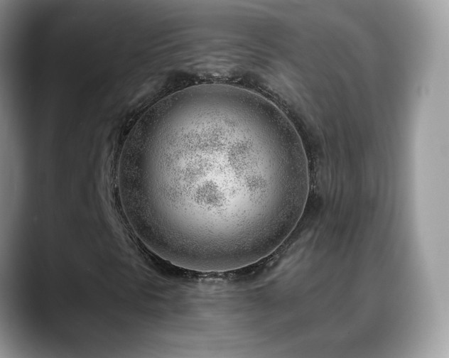 X0000088901297200706081258