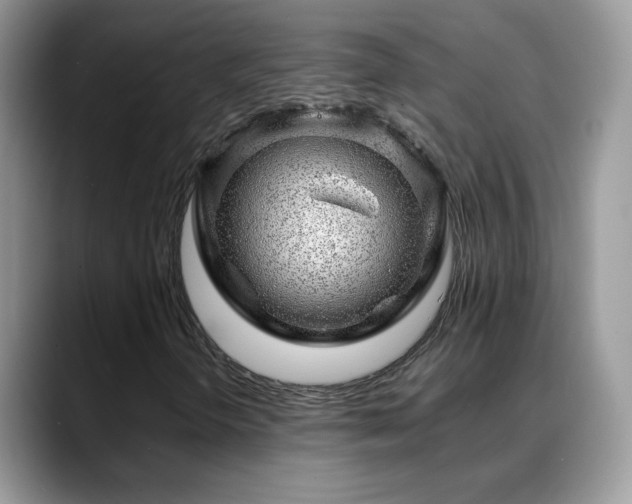 X0000088901298200706081258