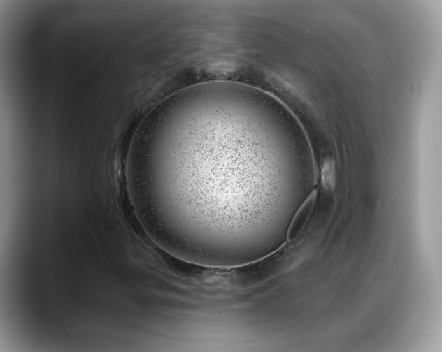 X0000088901299200706081258