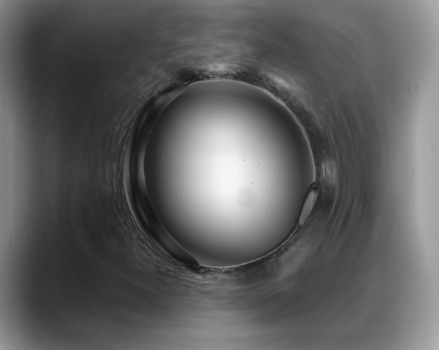 X0000088901300200706081258