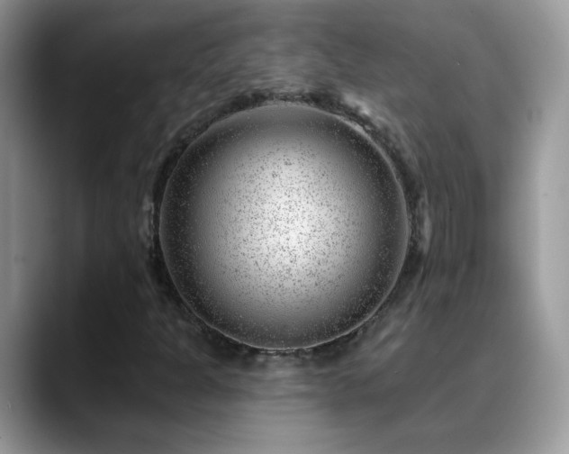 X0000088901301200706081258