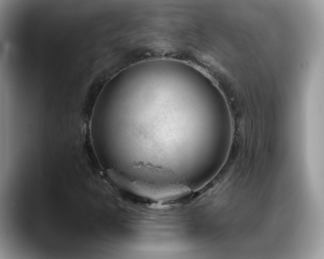 X0000088901302200706081258