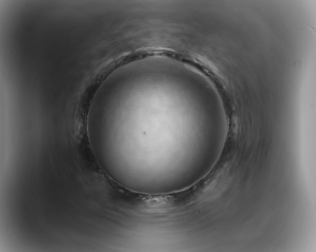X0000088901303200706081258