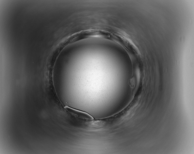 X0000088901304200706081258