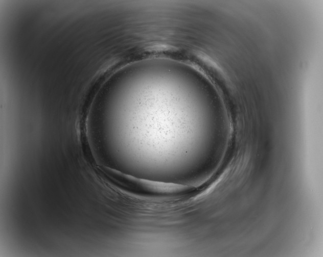 X0000088901305200706081258