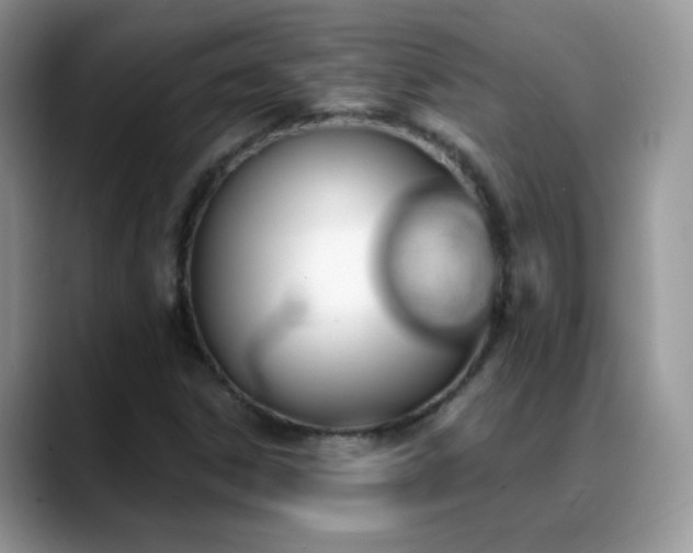 X0000088901306200706081258