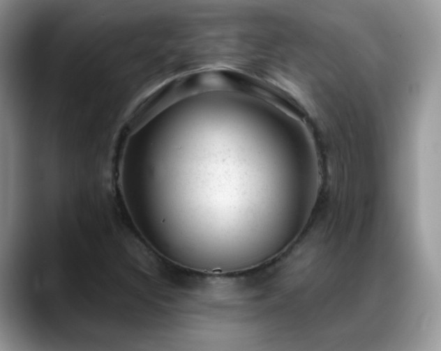 X0000088901308200706081258