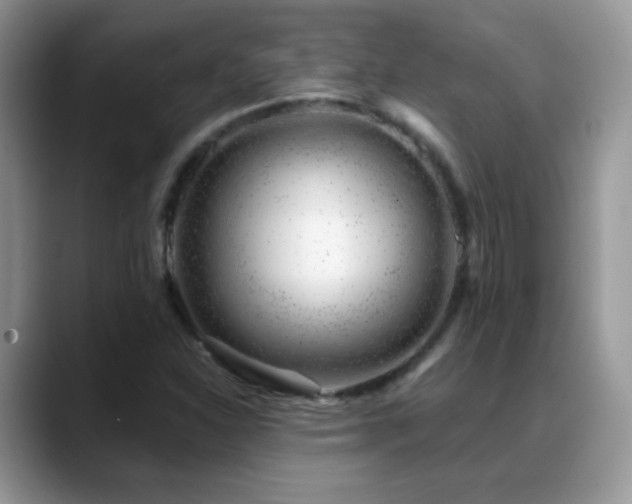 X0000088901310200706081259