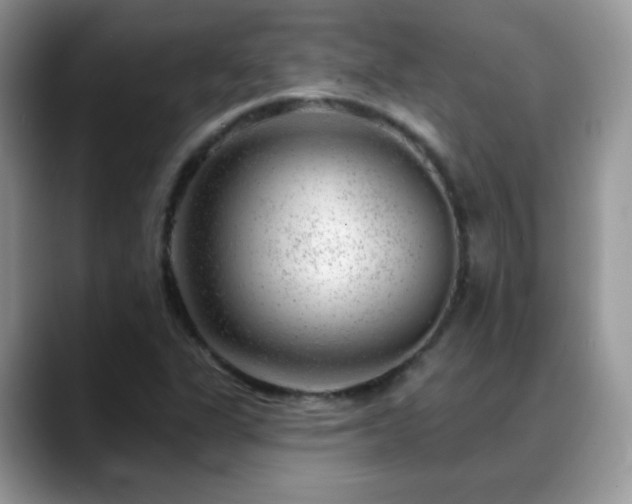 X0000088901311200706081259