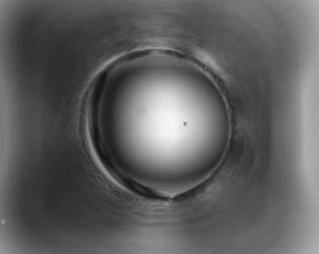X0000088901312200706081259