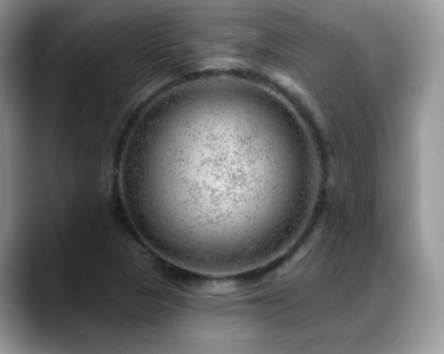 X0000088901313200706081259