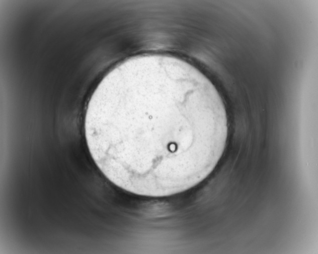 X0000088901314200706081259